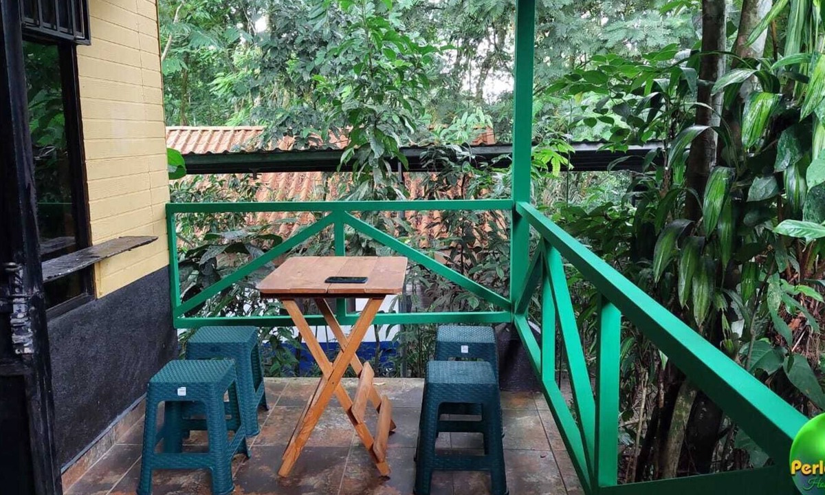 Chilamate Hostel | Perla verde hostel y tours en la zona