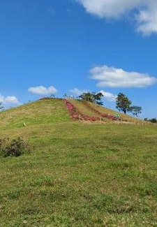 Bijagua Apartment | Cabinas Río Celeste - Laberinto