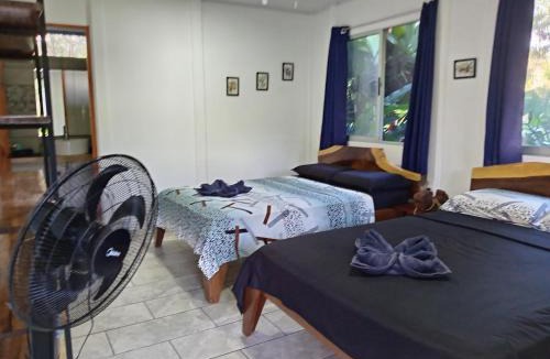 Puerto Jimenez House | Nueva Vida Birding Paradise