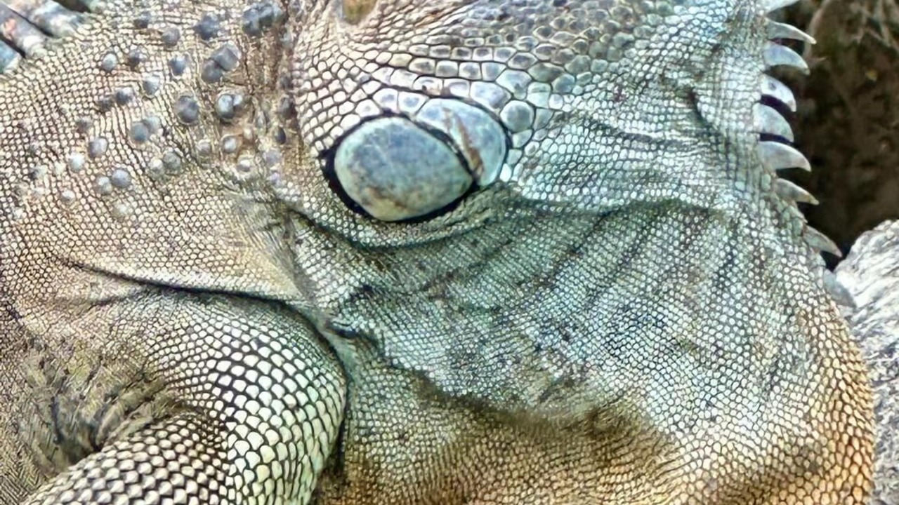 Photo of Outdoor in Canton Upala