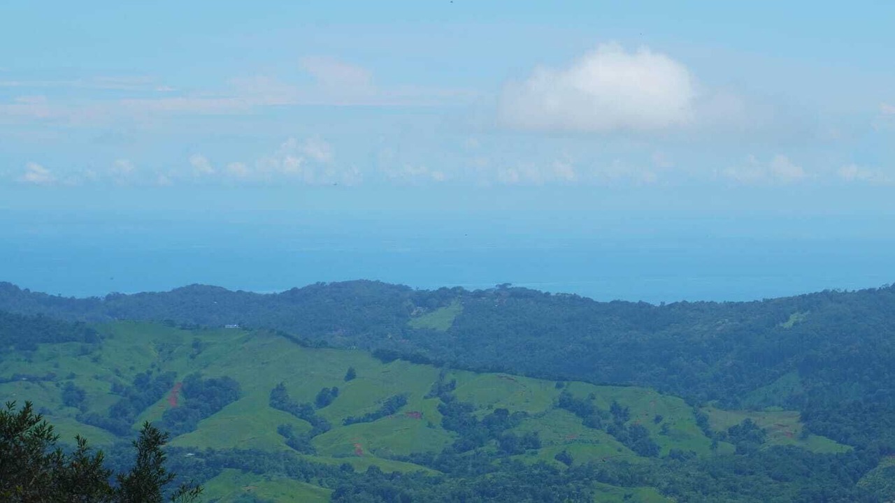 Photo of Others in Savegre