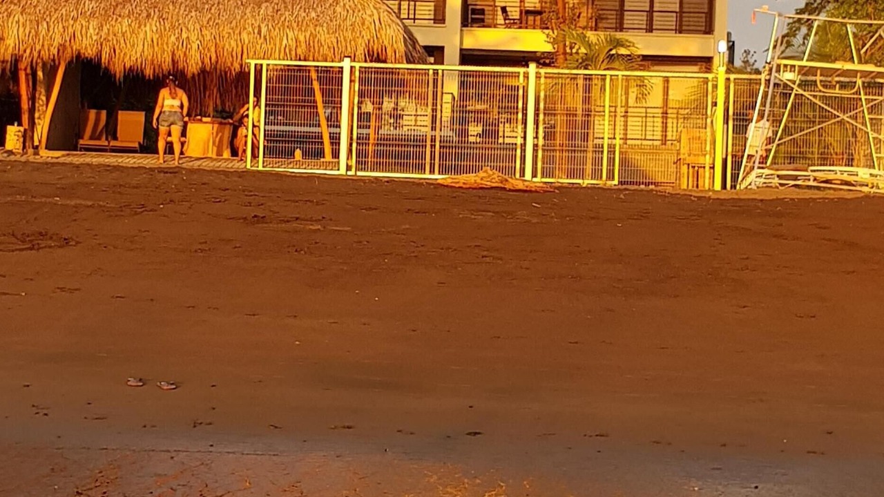 Photo of Others in Potrero