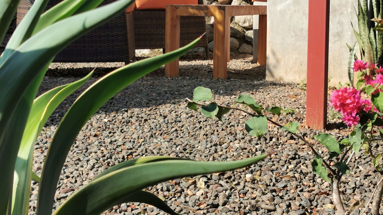 Photo of Outdoor in Playa Hermosa