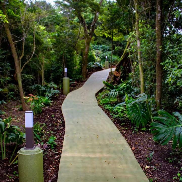 Photo of Others in Monteverde