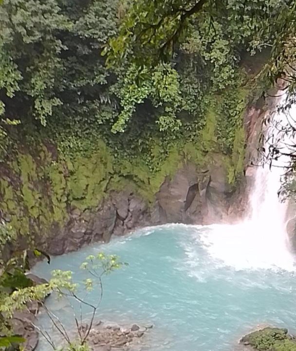 Photo of Others in Bijagua