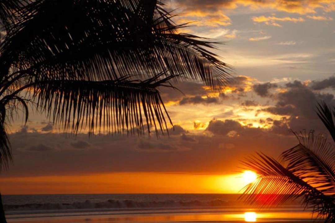 Photo of Others in Bejuco