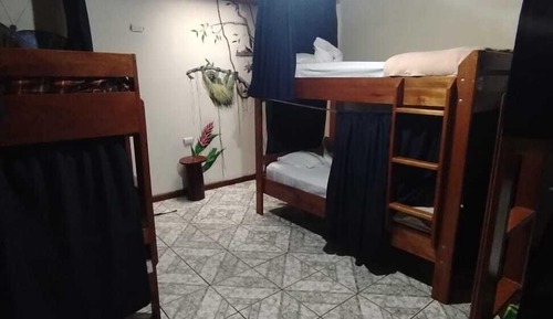 Shared Dormitory, Mixed Dorm