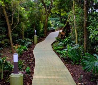 King Suite with Ocean View